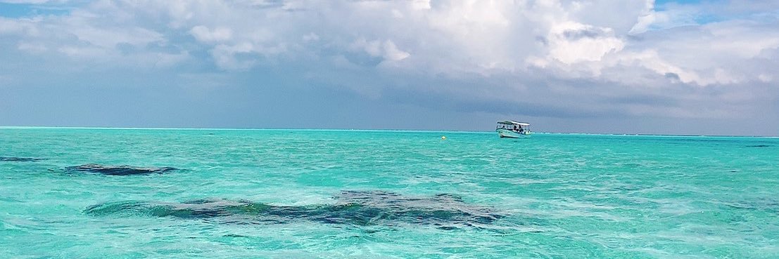 ★★HARU★★ banner