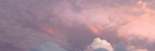 Pheen banner