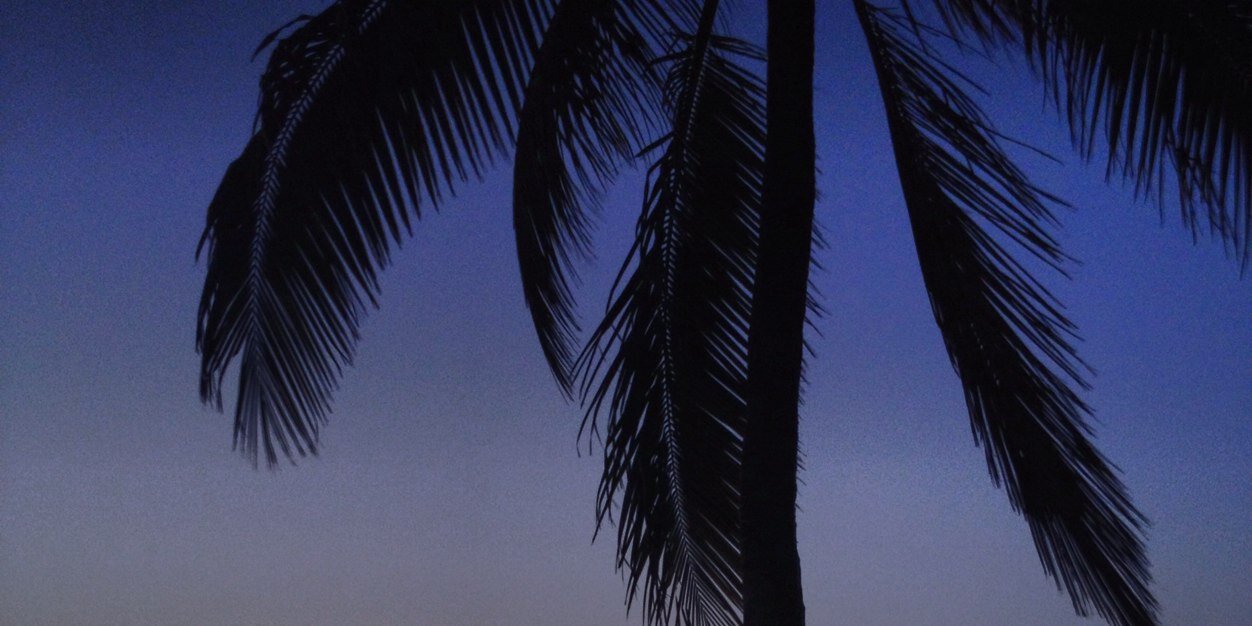 Jenniferstockd1's profile banner image