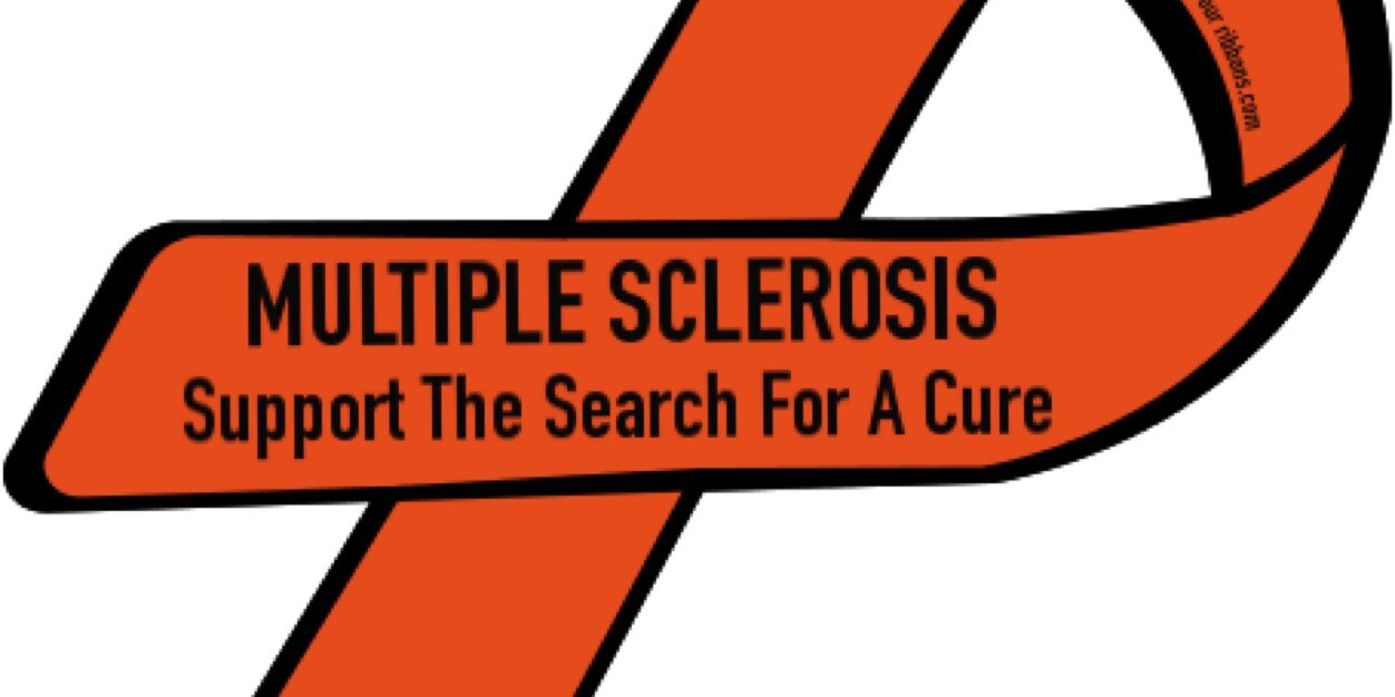 SASgraphic's profile banner image
