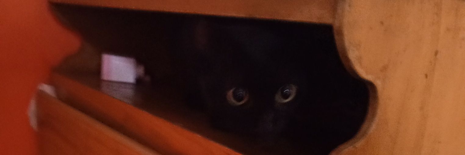 ⩩★ ꮺ˖・.Sam! ๑⇣୭ 🇻🇪 ROBUX COMMS CLOSED! banner