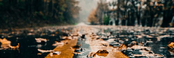 PostPhDRoad Profile Banner