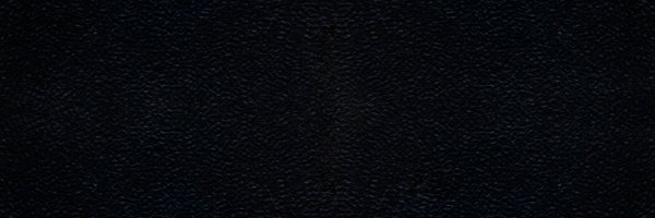 stefanoswoman Profile Banner
