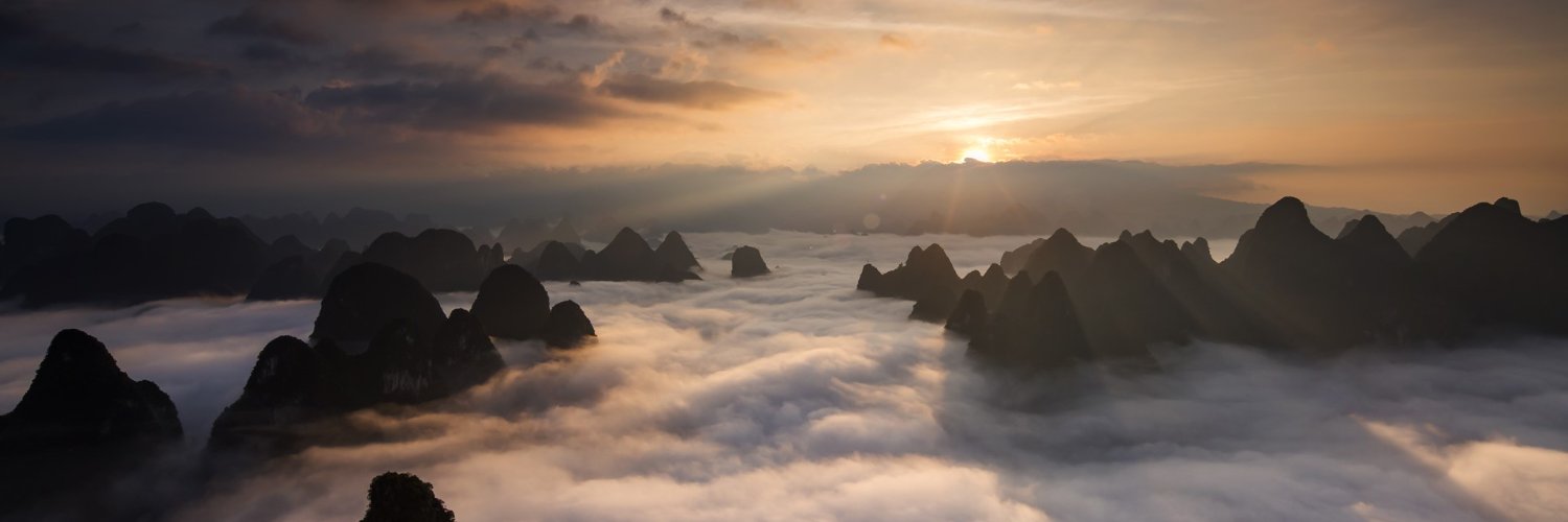 voithemfoco's profile banner image