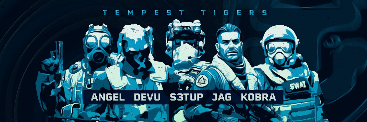 Tempest Tigers banner