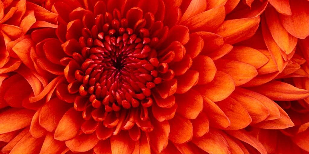 StephanieLynaeM's profile banner image