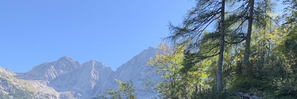 SchnitzeldeathX Profile Banner