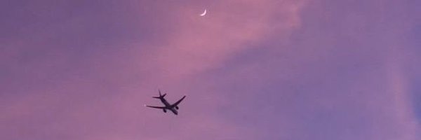 peckgyu Profile Banner