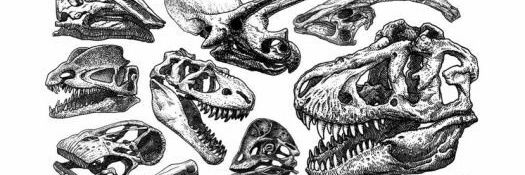 gdmmello's profile banner image