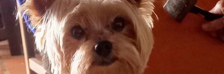 giselanunez's profile banner image
