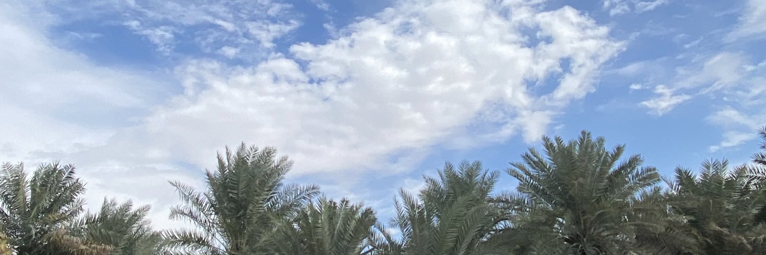 moh_L001's profile banner image