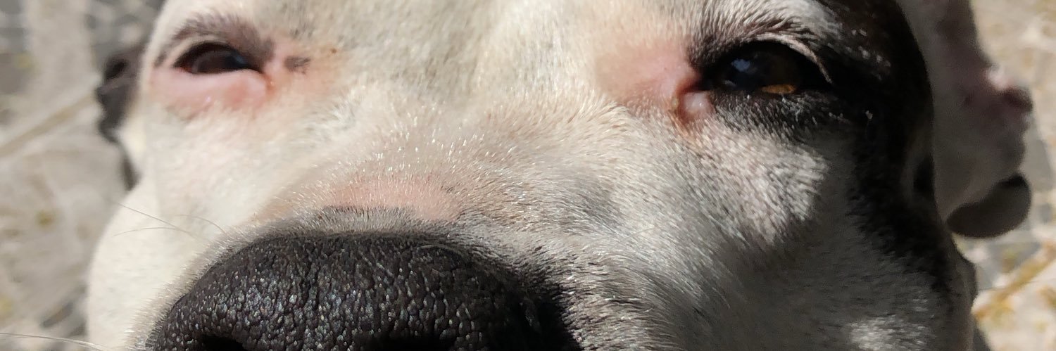 ricardowalter_'s profile banner image