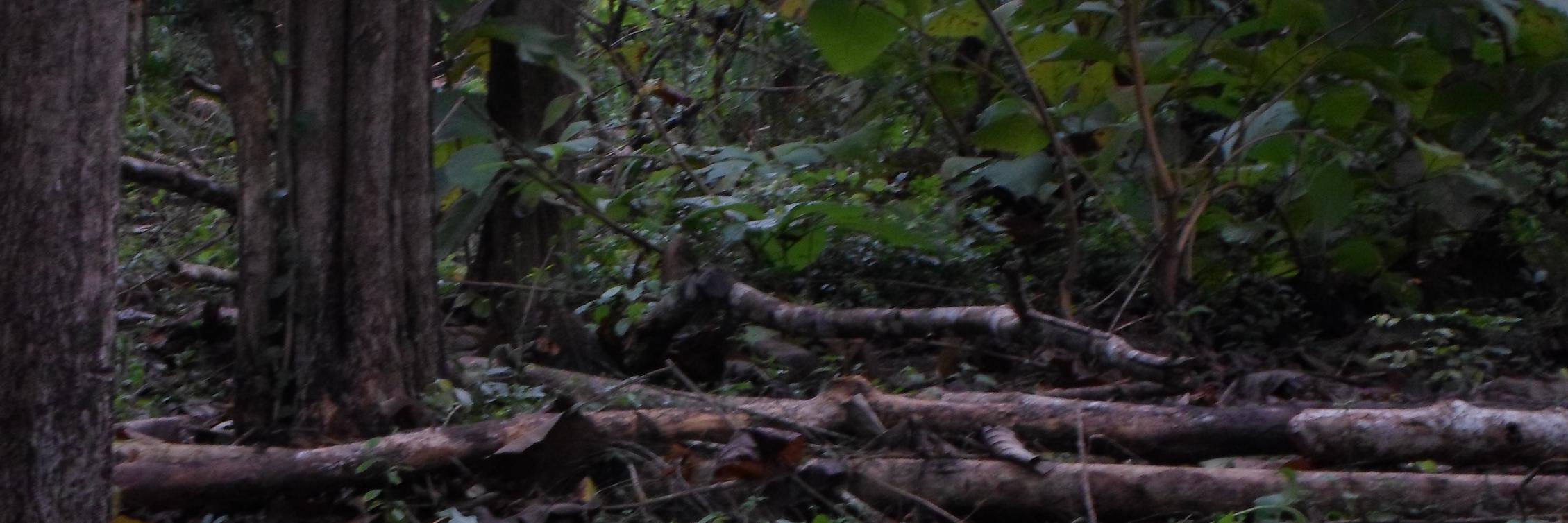 DJOSSOUJean's profile banner image