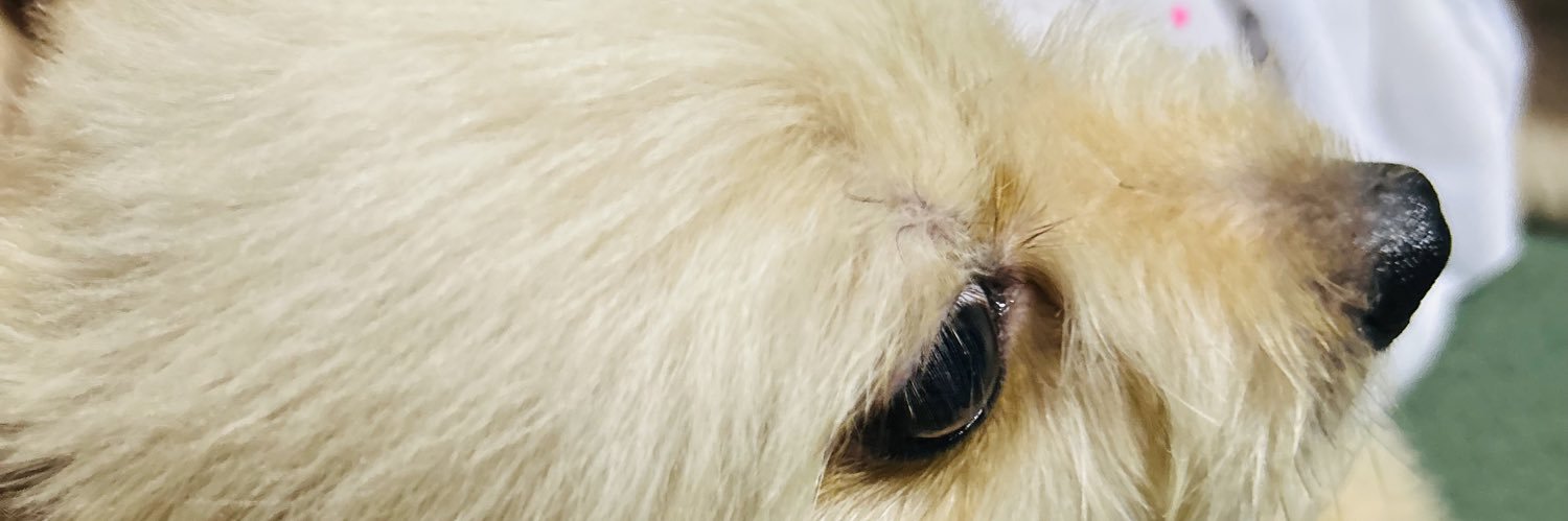ABernaC_'s profile banner image