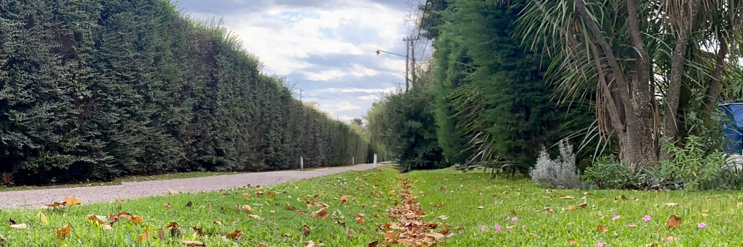 Sra Gagá banner