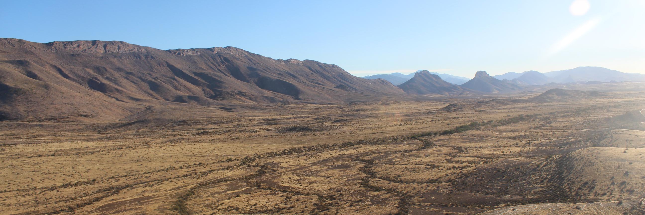 Hannah Brooks banner