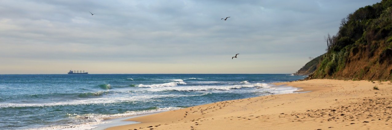 Mitko N. 🇧🇬 🇪🇺 ☯️ banner