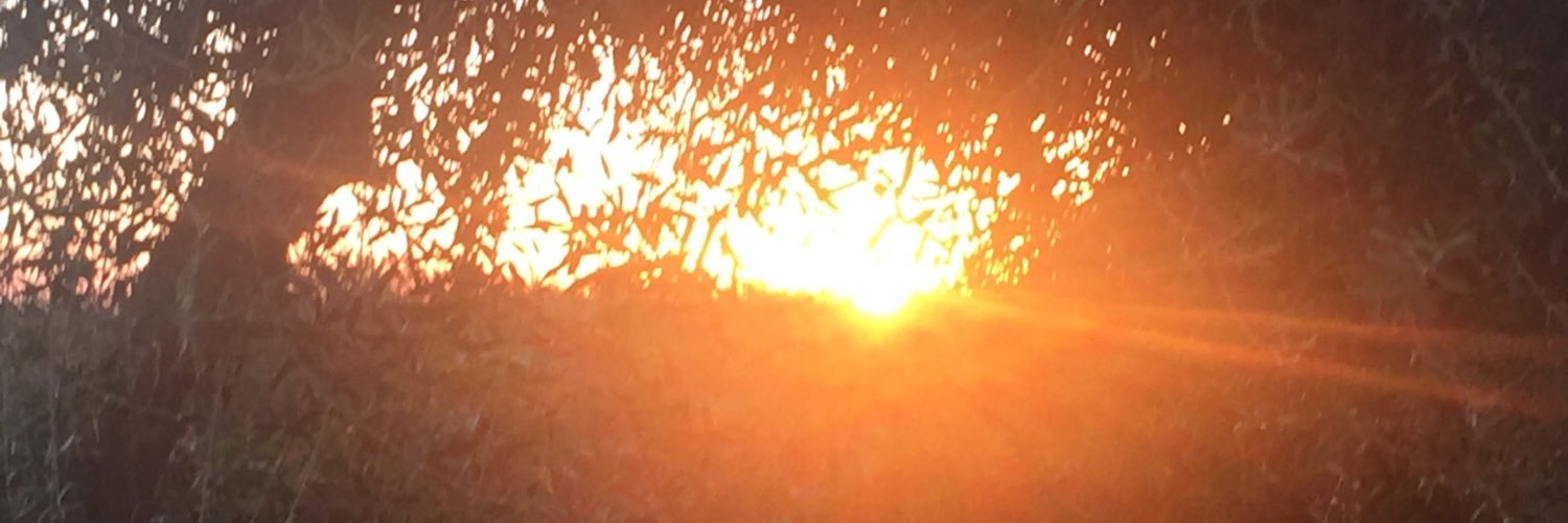 kevinpurse's profile banner image