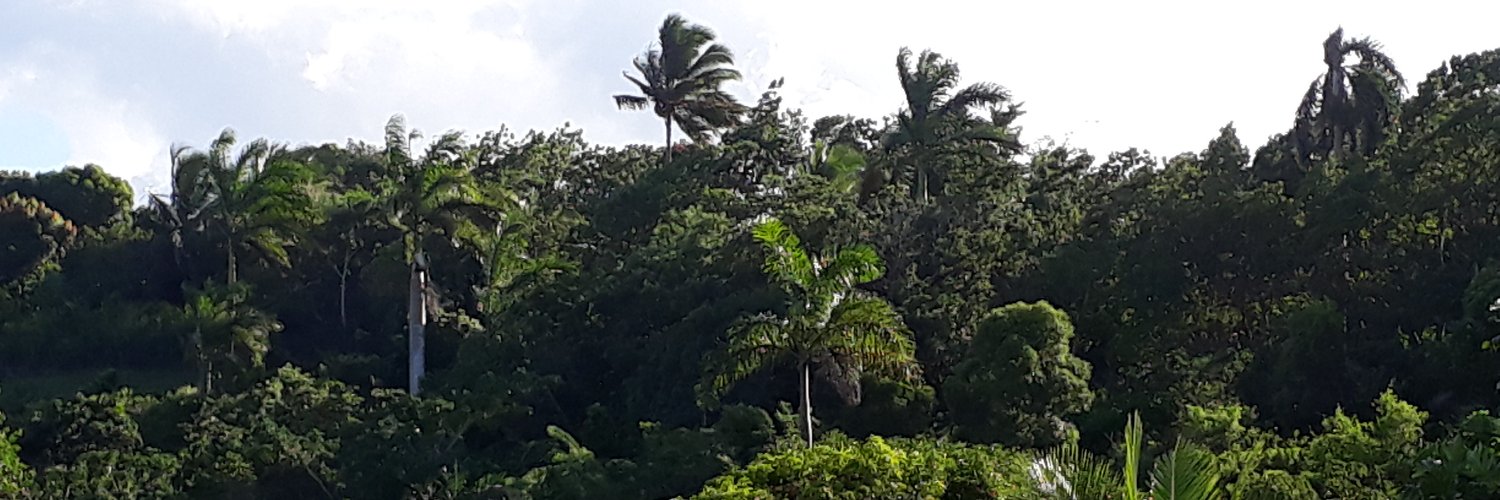 Yamylé Fernández banner