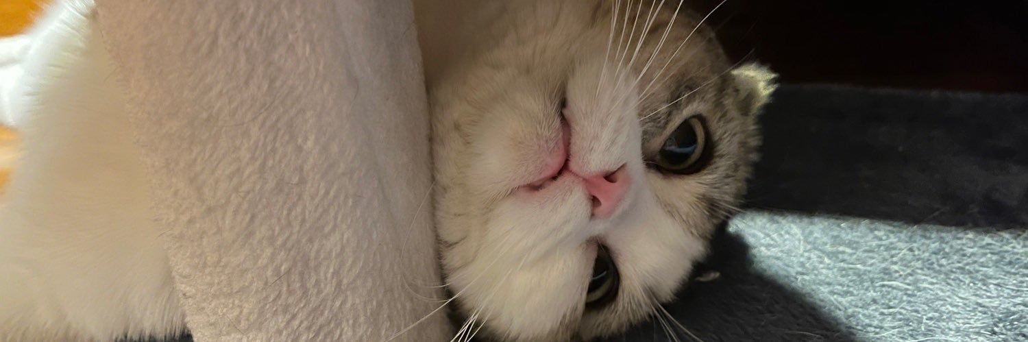 มินนี่จะเป็นไก่🐣 banner