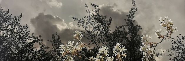 anna_mkww's profile banner image