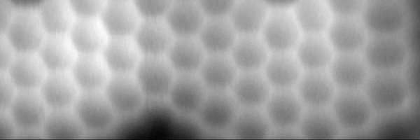 a_pinar92 Profile Banner