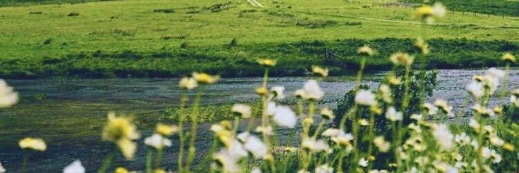ABO_Naser2020's profile banner image