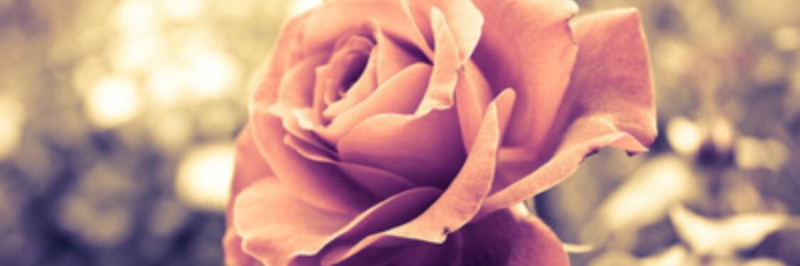 K_Pritch86's profile banner image