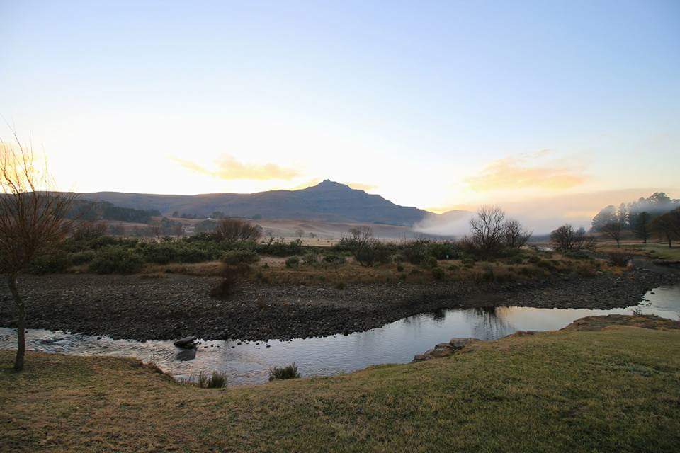 Greg Labuscagne banner