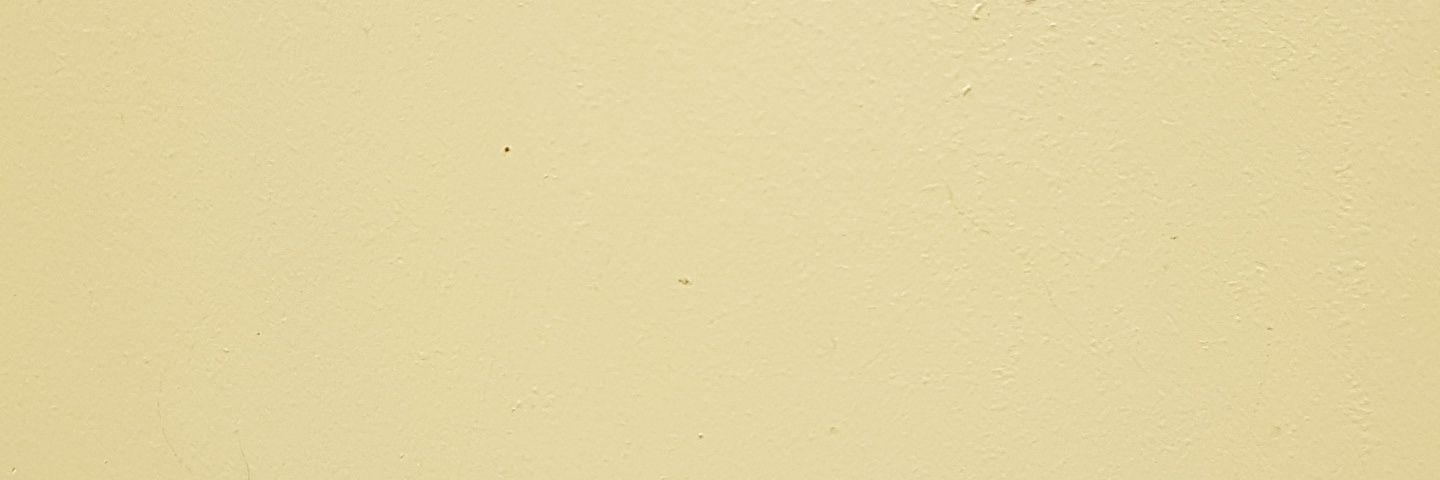 standingondrock's profile banner image