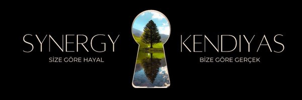 SynergyKendiyas Profile Banner