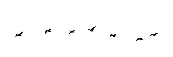 Ndoo7_'s profile banner image