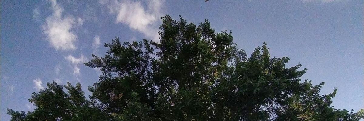 bayramcalik's profile banner image