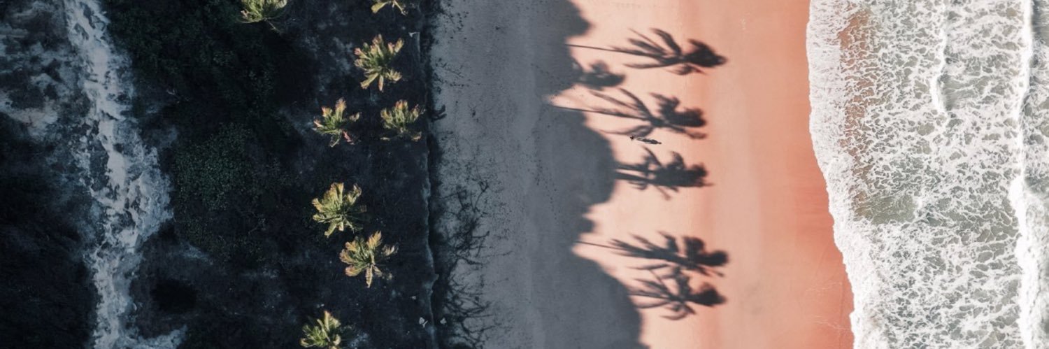 fefidalessandro's profile banner image