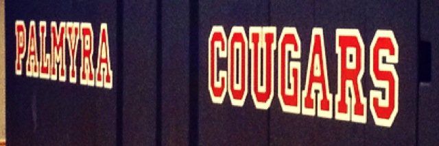 PHSGirlsVolley's profile banner image