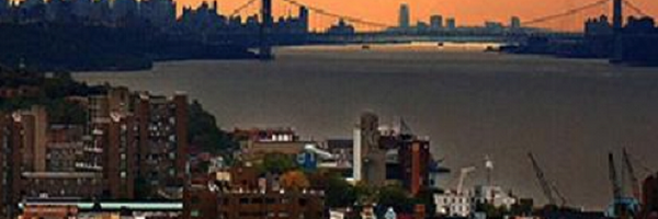 YoFiFest Profile Banner