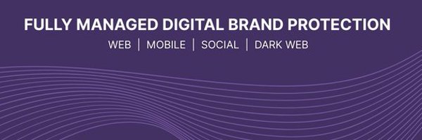 AllureSecurity Profile Banner