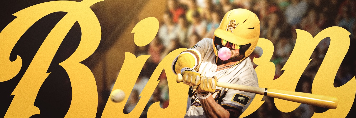 Bison Baseball Club banner