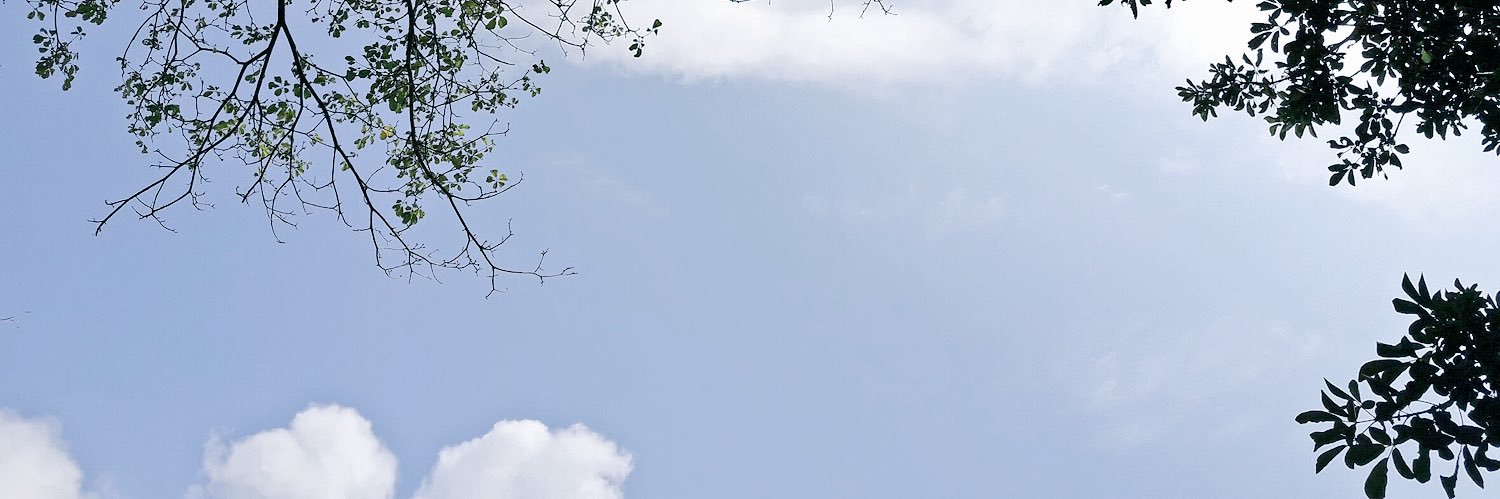 Cwstitch's profile banner image