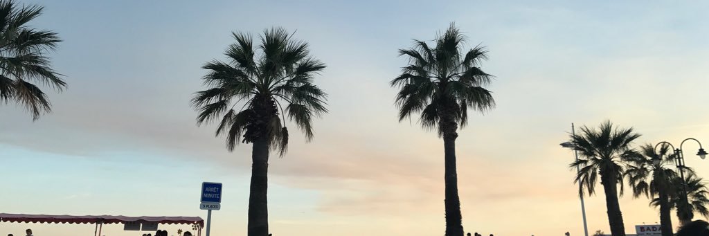 CamDlb's profile banner image