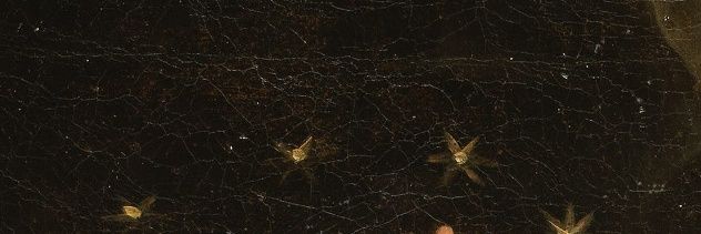 CarvedOnHeart's profile banner image