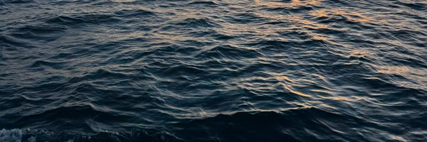 feeling_clippy Profile Banner