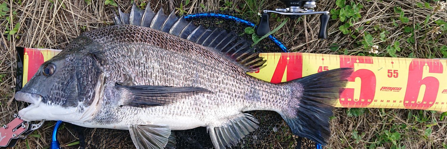 Holly Hobby Channel banner