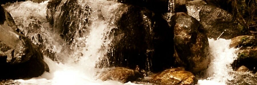 adryrivero's profile banner image