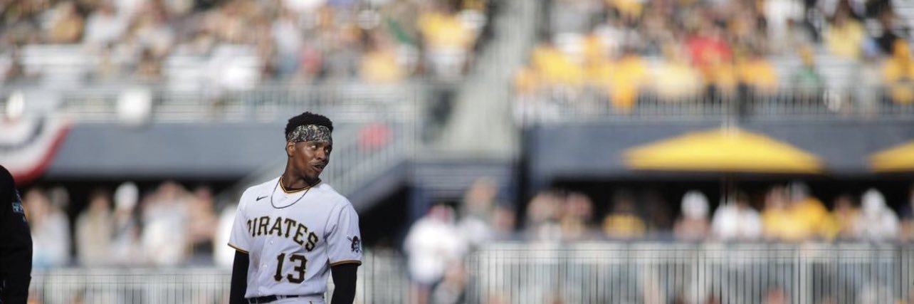 Bucco Baseball banner