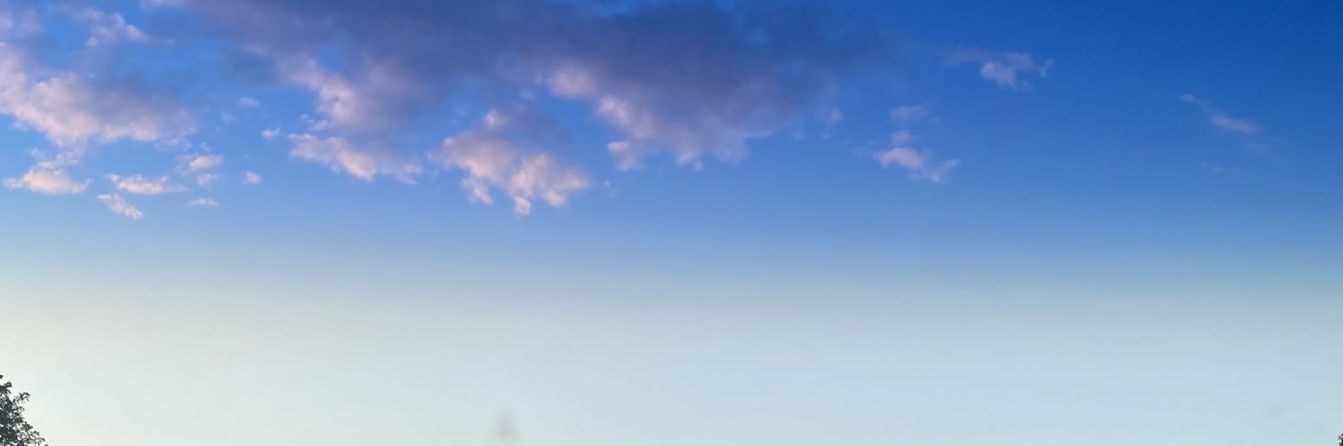 Frank Goodman banner
