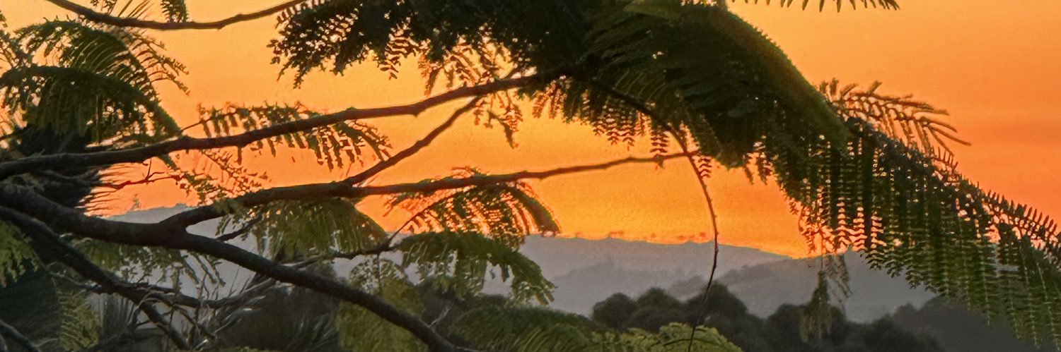 NigelJAllen's profile banner image