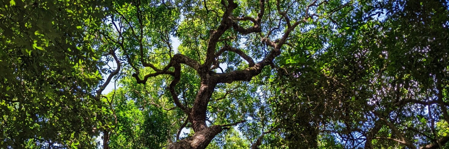 Teracy | Shunsuke Morii / Emo banner