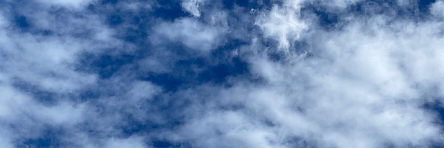 👽 banner