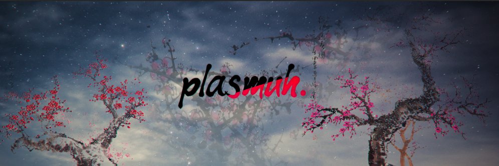 PlasMuh banner